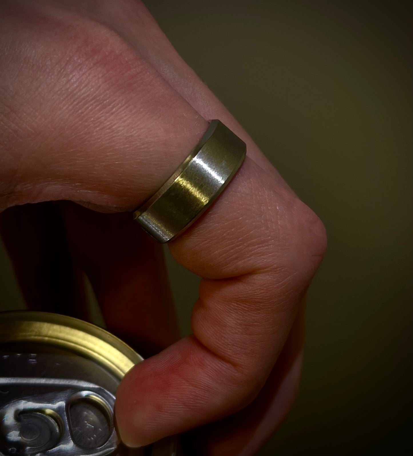 Silver Titanium Ring